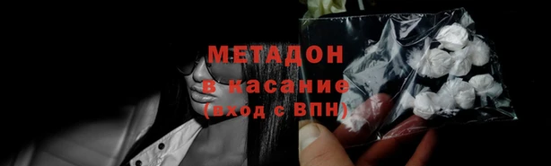 стафф Алзамай