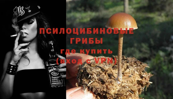 соль ск Алексеевка