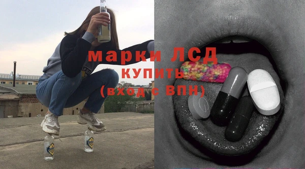 стафф Алзамай