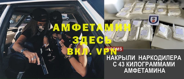 стафф Алзамай