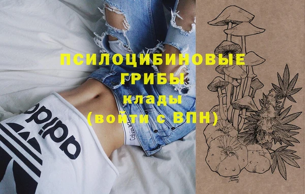 соль ск Алексеевка