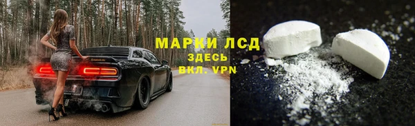 стафф Алзамай