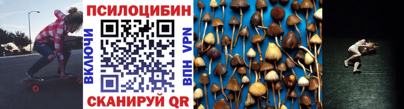 omg ссылка  Полярные Зори  Псилоцибиновые грибы ЛСД 