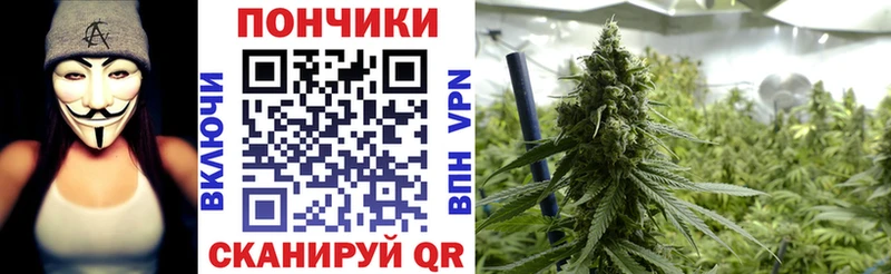 Шишки марихуана AK-47 Полярные Зори